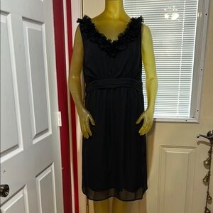 Liz Lange Maternity Elegant Sleeveless Dress